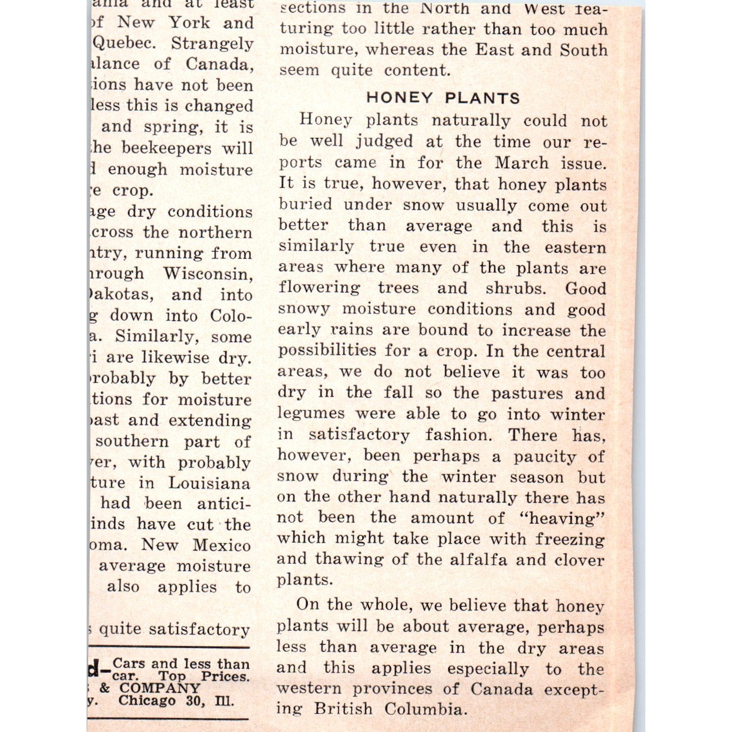 Package Bees Jackson Apiaries Funston Georgia 1961 Magazine Ad AB6-LB