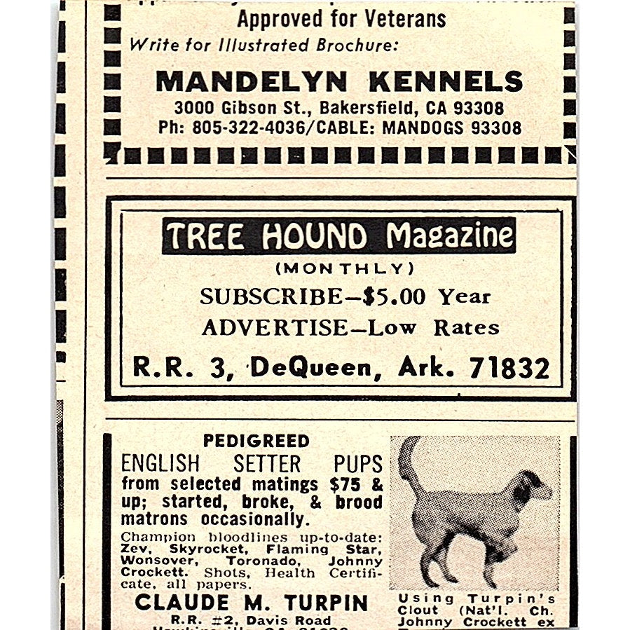 Doggie Dooley Dog Waste Digesters Huron Products Bellevue OH 1977 Ad AF6-M2