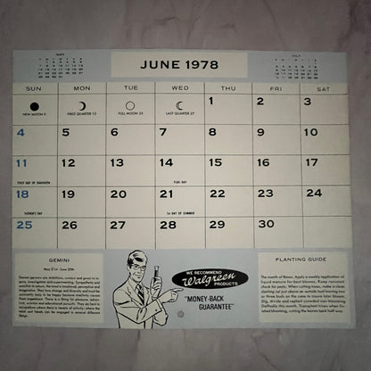 1978 Pyramid Mountain Jasper National Park 8x10" Art Print V23