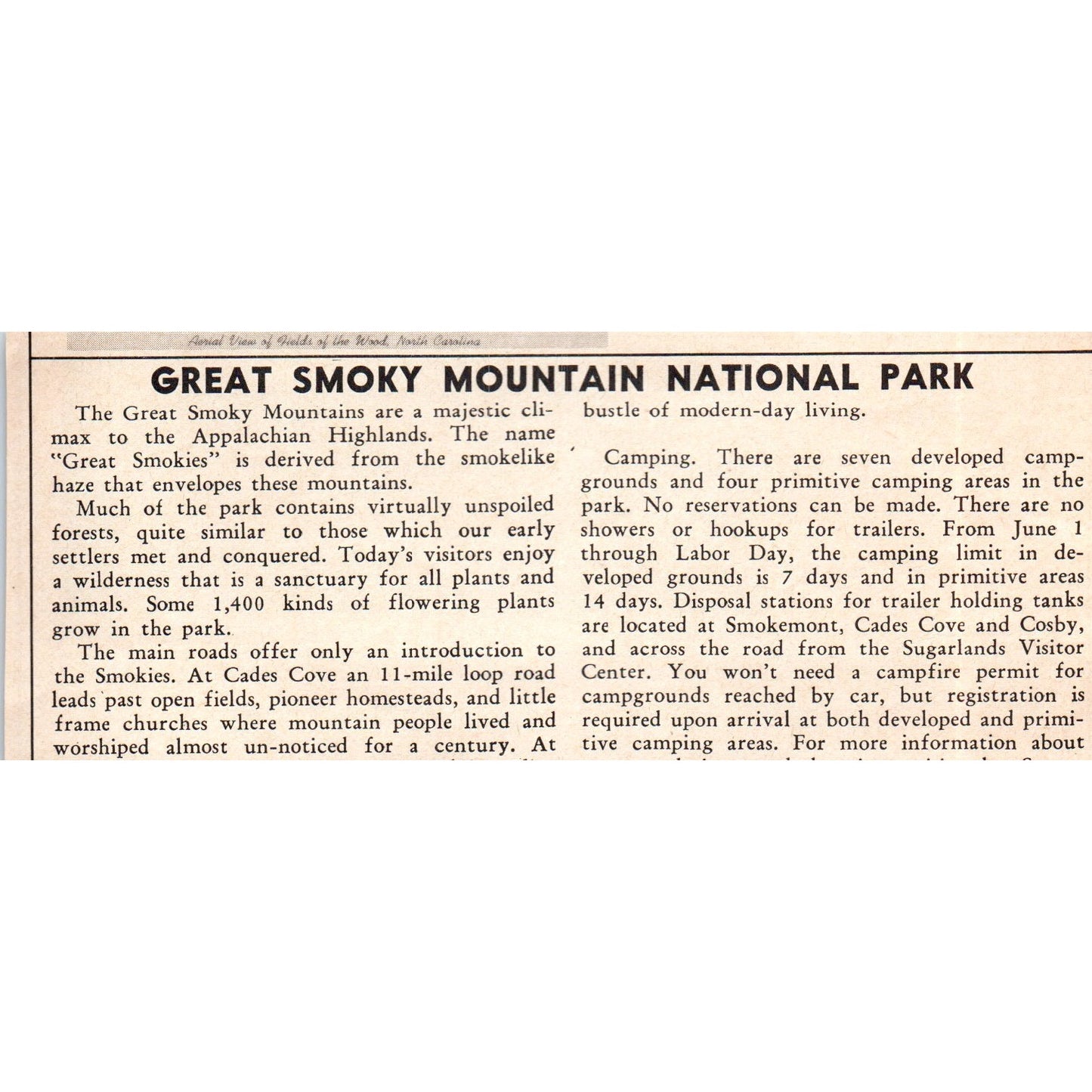 Christmas Gardens Gatlinburg TN 1973 Magazine Ad AD8-B9