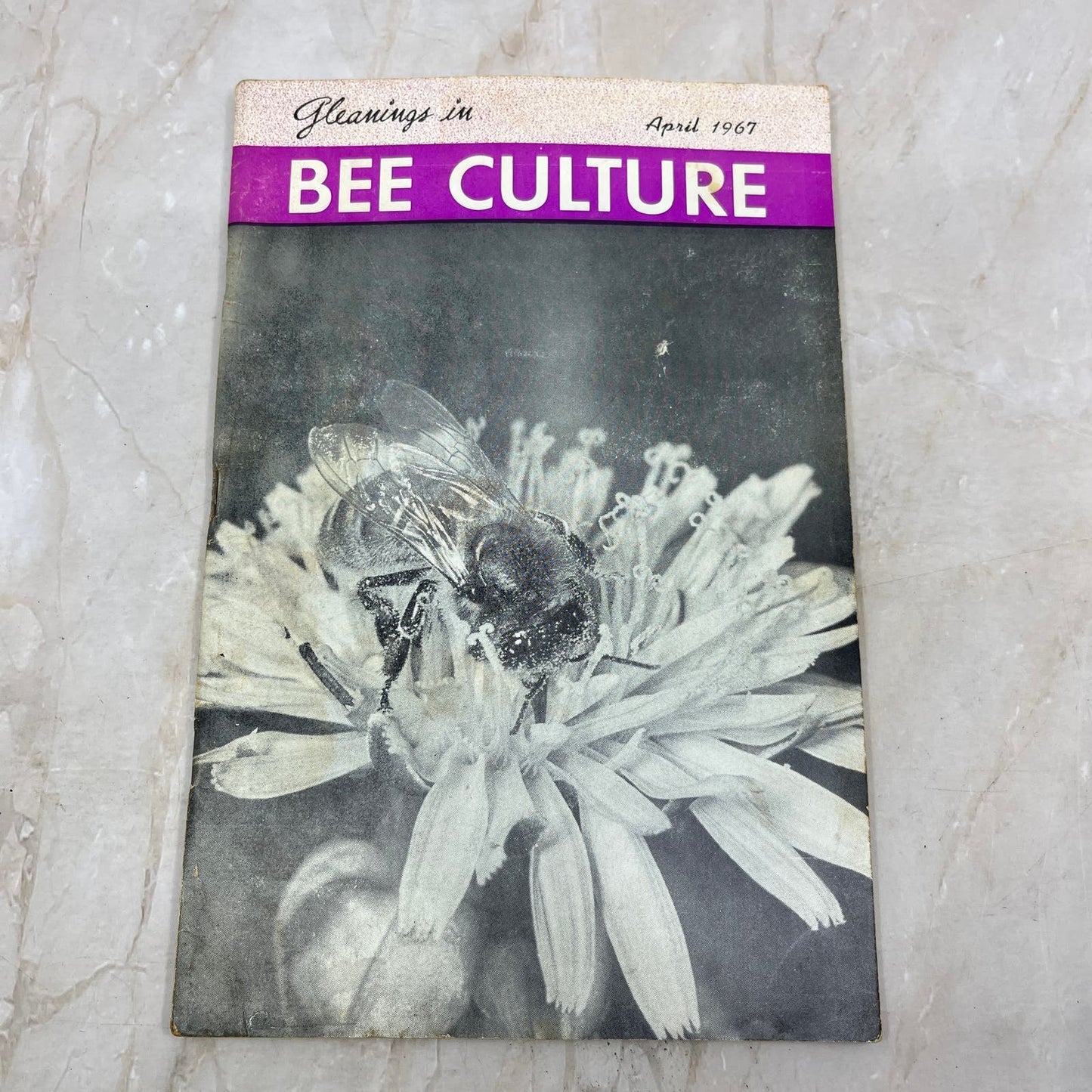 1967 April Gleanings in Bee Culture Magazine Bees Beekeeping Honey TD7