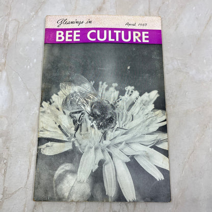 1967 April Gleanings in Bee Culture Magazine Bees Beekeeping Honey TD7