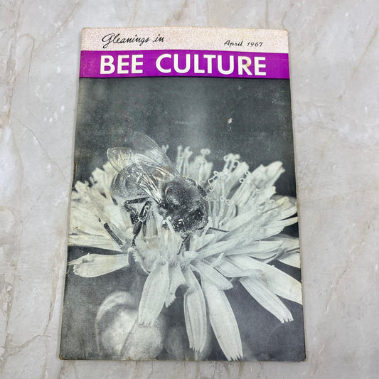 1967 April Gleanings in Bee Culture Magazine Bees Beekeeping Honey TD7