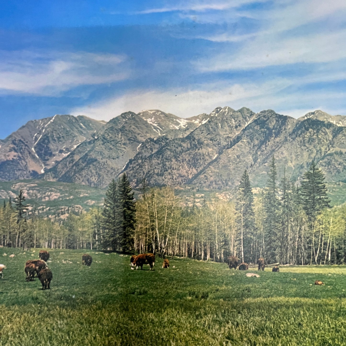 Wellsville Mountains Utah 10x14" Art Print V17