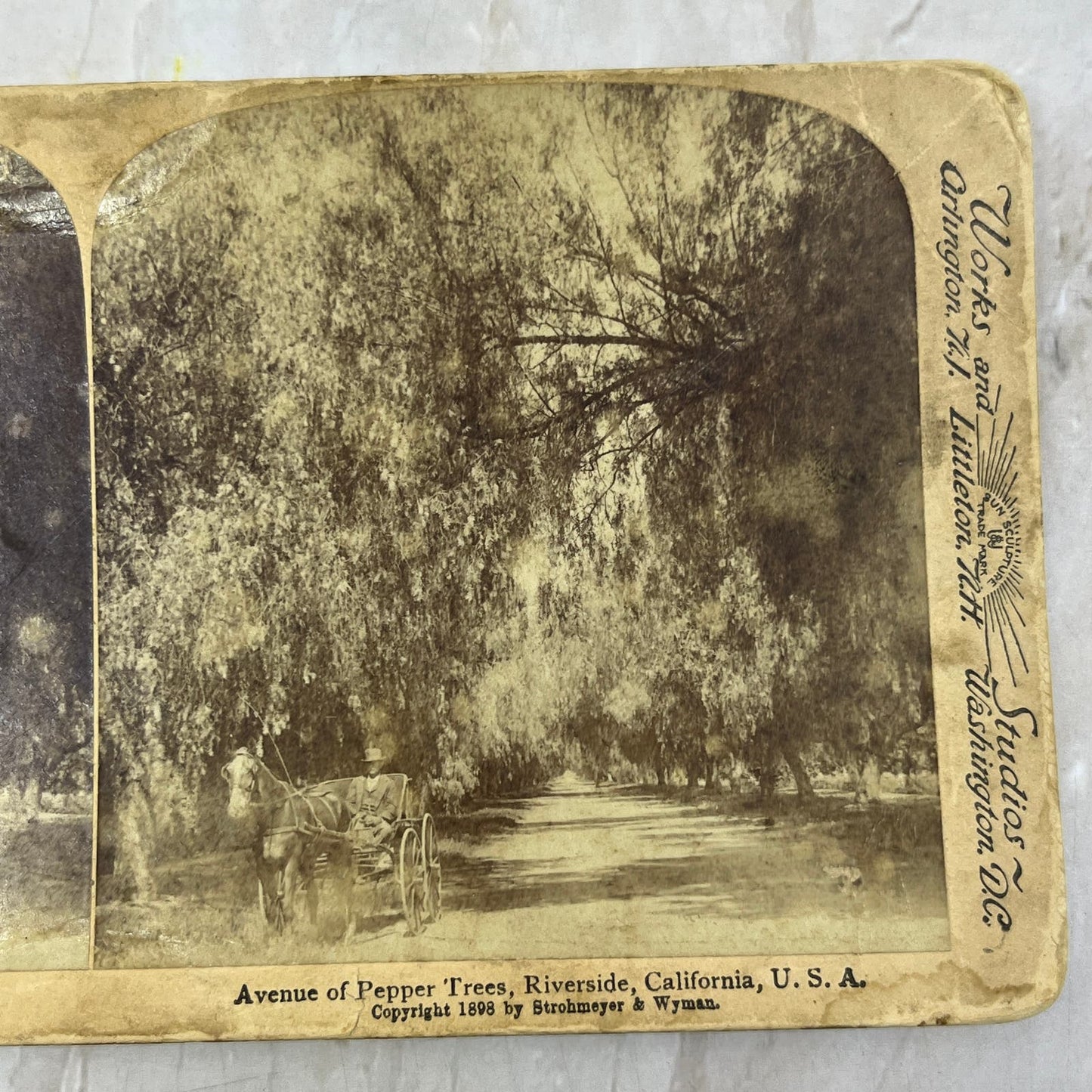 1898 Avenue of Pepper Trees Riverside California Stereoview Card TF5-L3