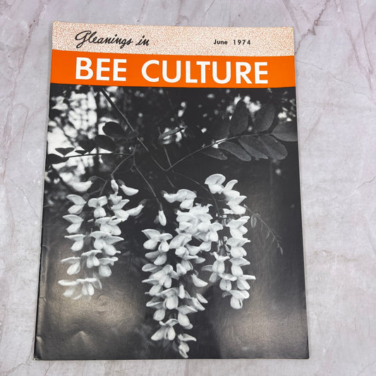 1974 June - Gleanings in Bee Culture Magazine - Bees Beekeeping Honey M33