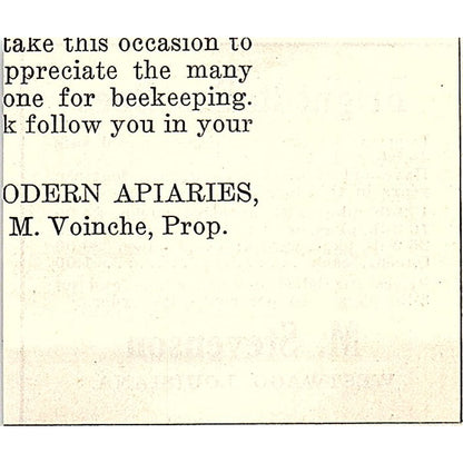 M. Stevenson Bright Italian Bees Westwego Louisiana 1926 Ad AG3-S23