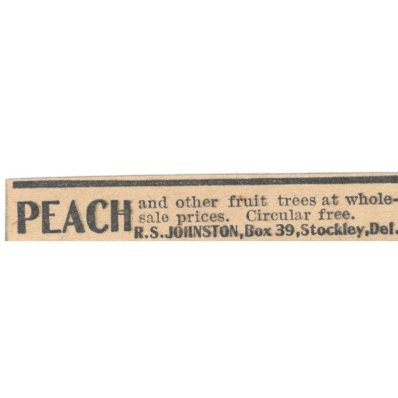 R.S. Johnston Peach Fruit Trees Stockley DE 1905 Magazine Ad AF1-NES3