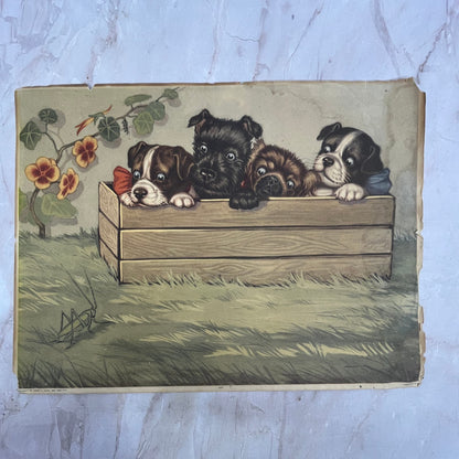 c1950 Kitsch Crate of Puppy Dogs Novotint Art Print Sidney Z. Lucas 9x12 FL6-3