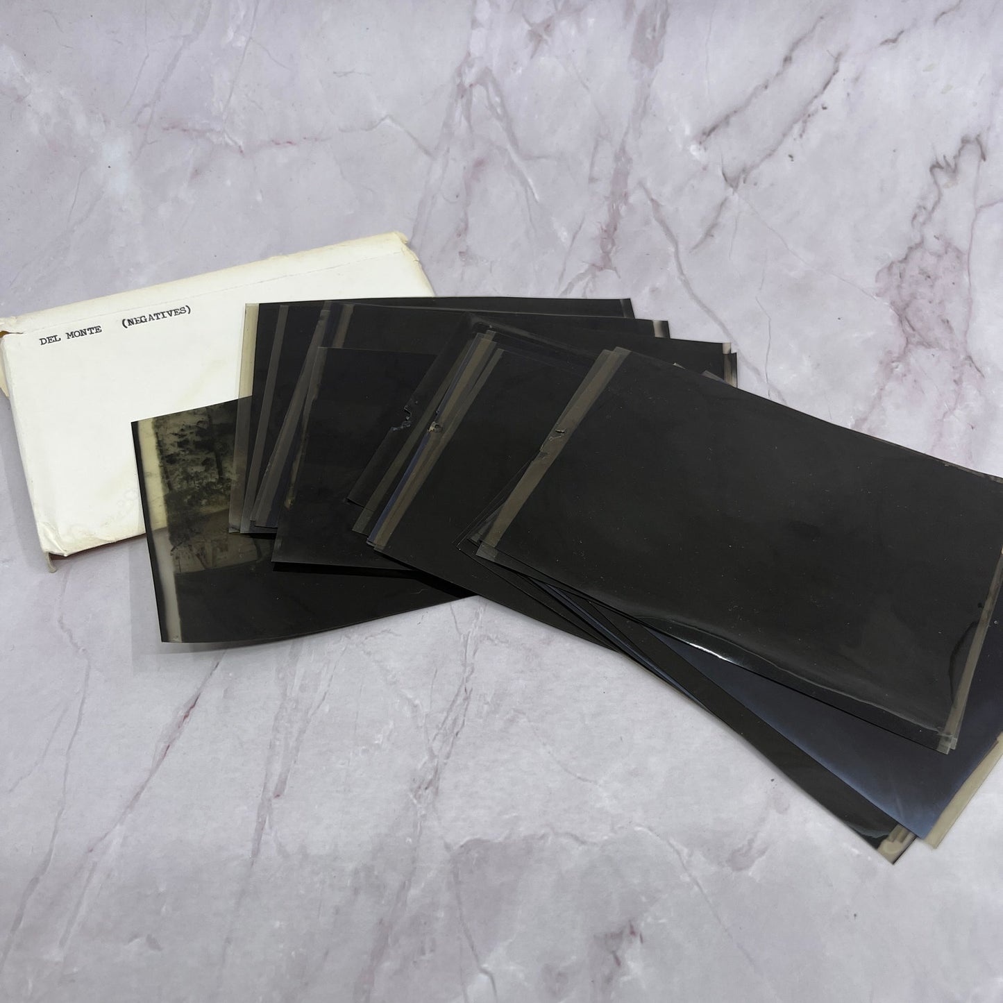 c1930 Lot of 26 Gum Del Monte California Negatives Nature Architecture TH2-MI1