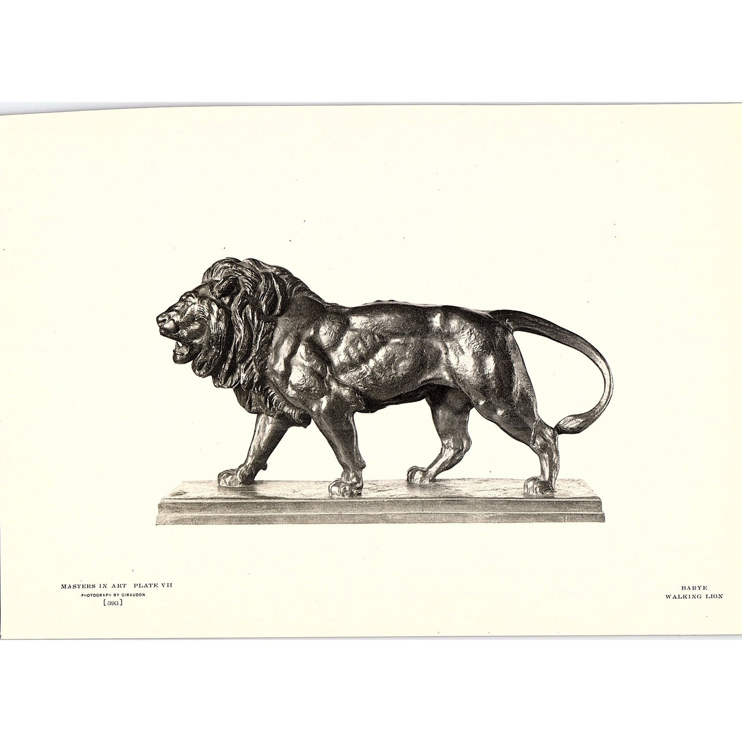 Walking Lion - Barye - 1904 Litho Art Print AF4-6