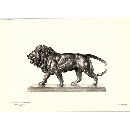 Walking Lion - Barye - 1904 Litho Art Print AF4-6