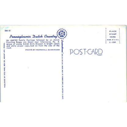 Amish Courting Buggy Intercourse Pennsylvania Dutch Country Postcard PD7