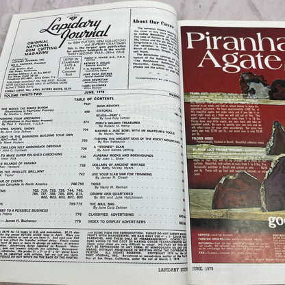 Carnelian Flowers - Lapidary Journal Magazine - Jun 1978 M25