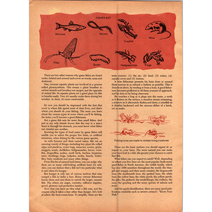 The ABC's of Catching Fish by Homer Circle 8 Page 1966 Article SI11