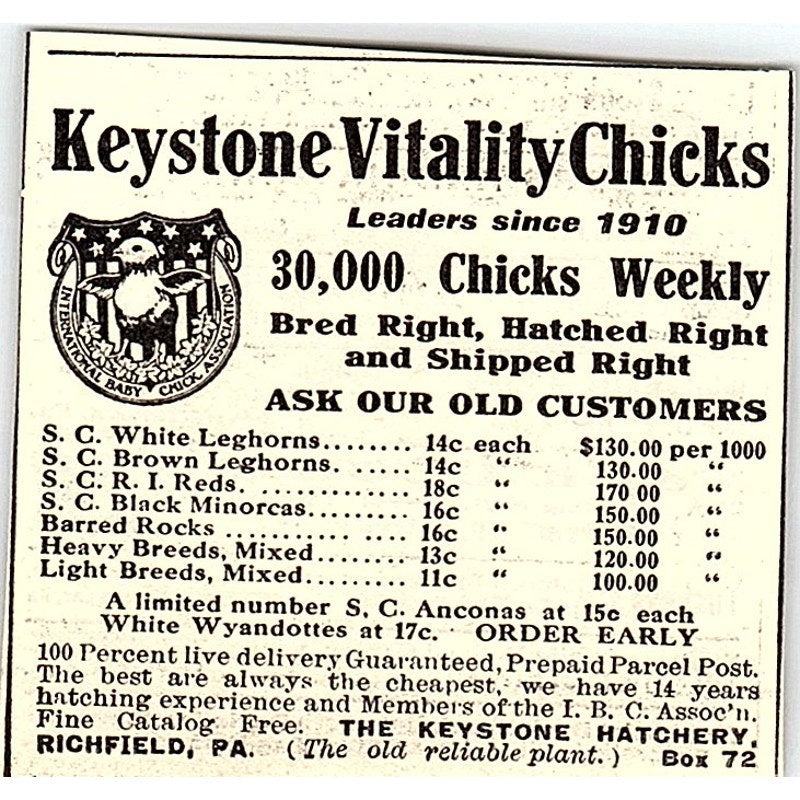 Keystone Vitality Chicks- The Keystone Hatchery Richfield PA 1924 Ad AG3-S18