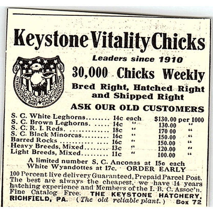 Keystone Vitality Chicks- The Keystone Hatchery Richfield PA 1924 Ad AG3-S18