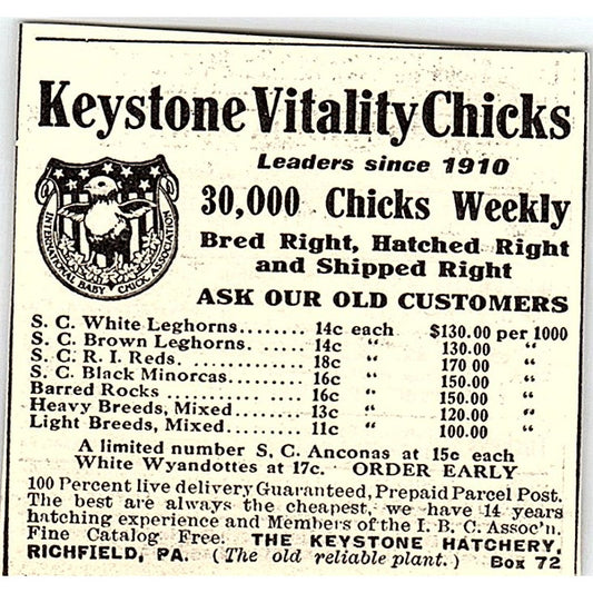 Keystone Vitality Chicks- The Keystone Hatchery Richfield PA 1924 Ad AG3-S18