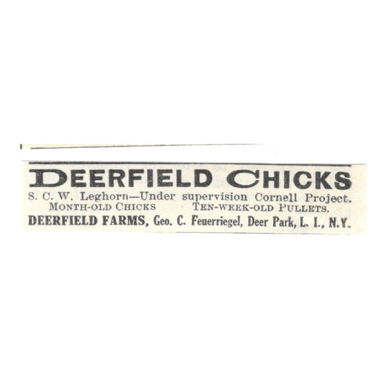 Deerfield Farms Chicks Geo. C. Feuerriegel Deer Park Long Island 1924 Ad AG3-S5