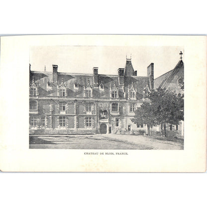 Château De Blois France 1901 Original Print AD8-H6