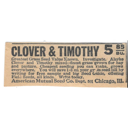 Clover & Timothy American Mutual Seed Co Chicago IL 1920 Ad AG2-S8