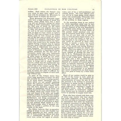 Southern Bees and Northern Honey Dr. Ernest Kohn 2 Page Article 1926 AG3-9