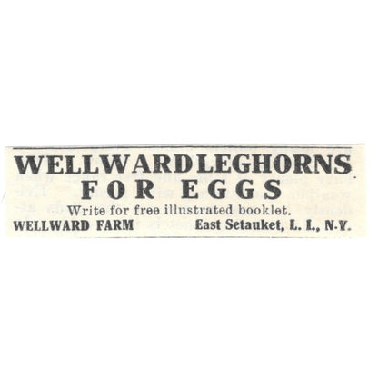 Wellward Farm Leghorns for Eggs East Setauket Long Island NY 1924 Ad AG3-S8