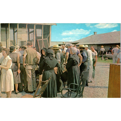 Amish Public Auction Sale Pennsylvania Dutch Country Postcard PD8