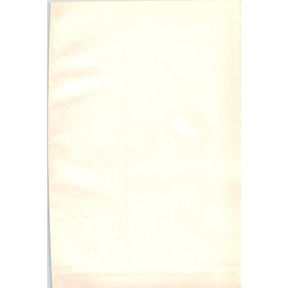 House Sparrow Bird 1903 Original Color Engraving Plate Print AD8-B5