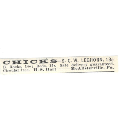 H.S. Hart Leghorn Chicks McAlisterville PA 1924 Ad AG3-S9
