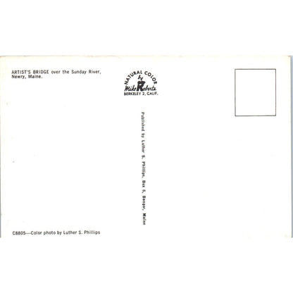 Artist's Bridge Sunday River Newry Maine Vintage Covered Bridge Postcard PC17