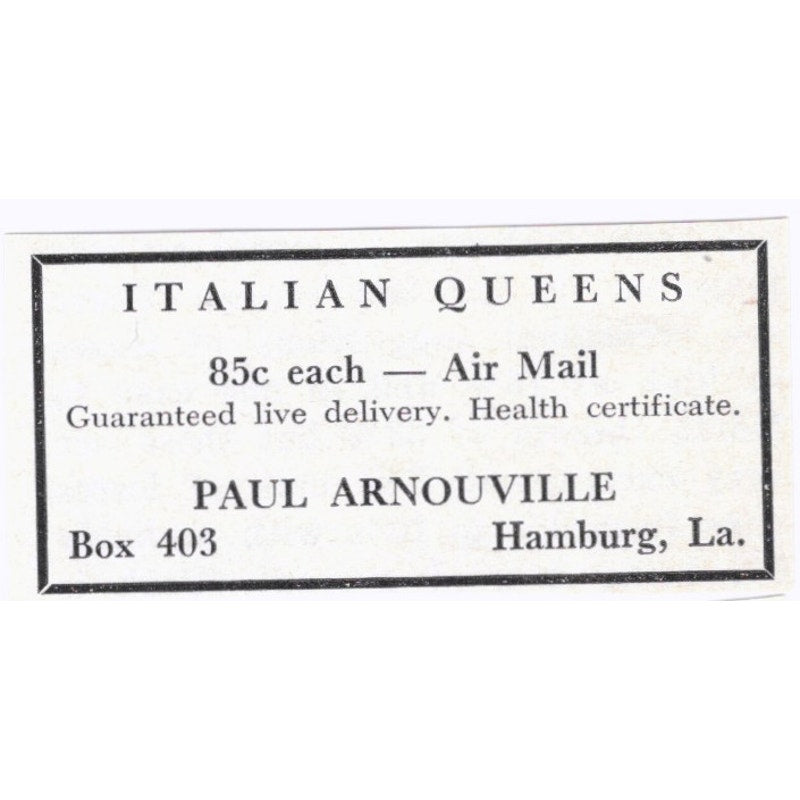 Italian Queens Paul Arnouville Hamburg LA 1964 Magazine Ad AK6-S15