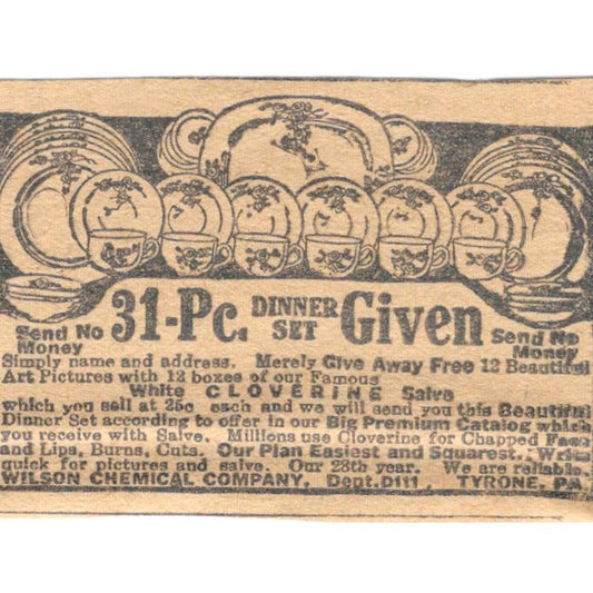 Wilson Chemical Co Tyrone PA Dining Set Offer 1923 Magazine Ad Clip AE1-7