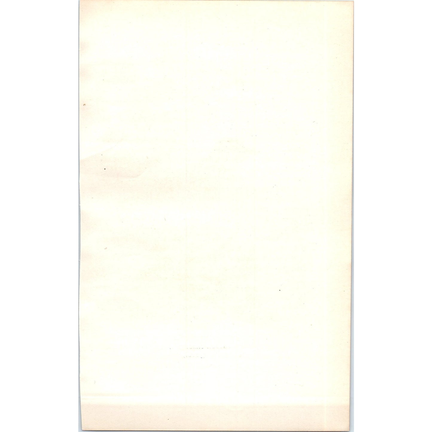 Golden-Crested Wren Bird 1903 Original Color Engraving Plate Print AD8-B3