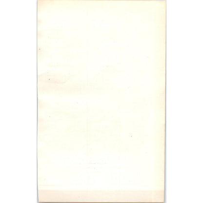 Golden-Crested Wren Bird 1903 Original Color Engraving Plate Print AD8-B3