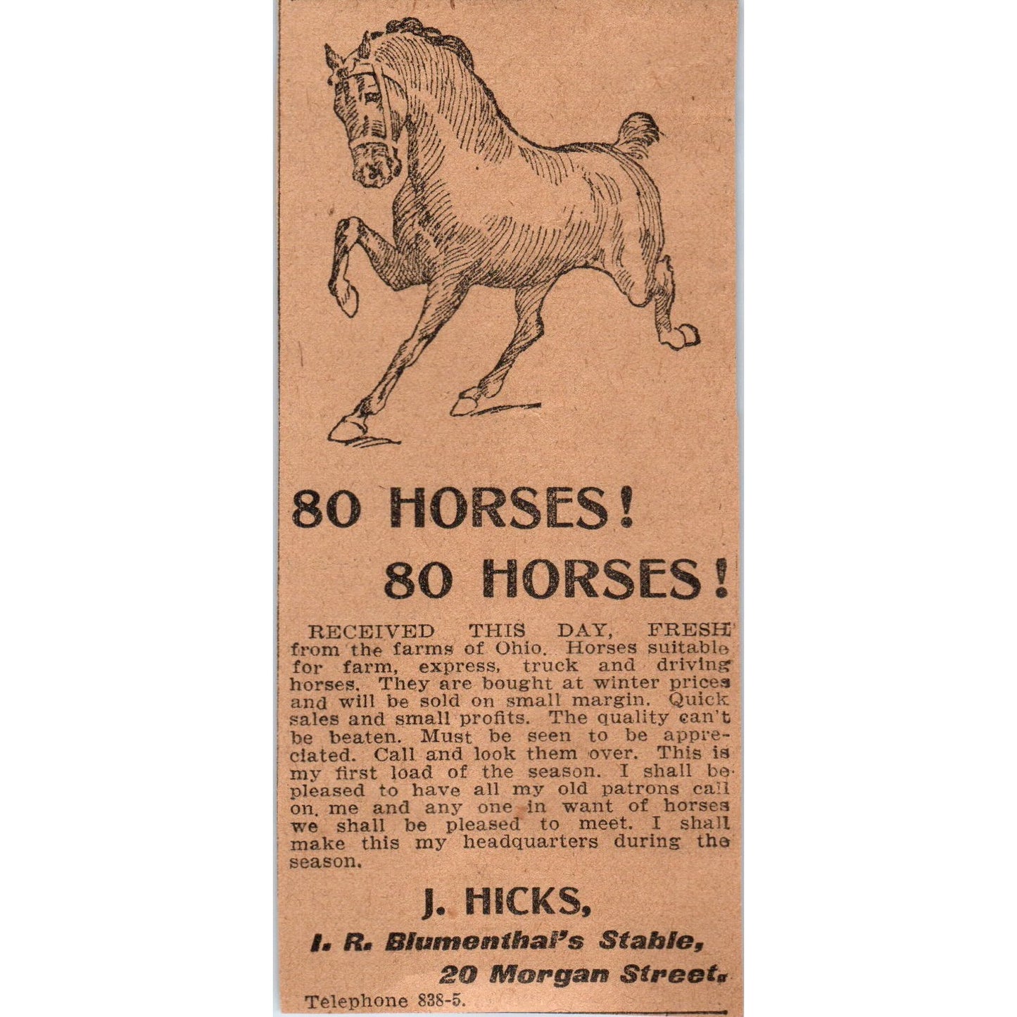 80 Horses J. Hicks I.R. Blumenthal Stable Hartford 1901 Newspaper Ad AD8-H3