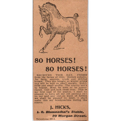 80 Horses J. Hicks I.R. Blumenthal Stable Hartford 1901 Newspaper Ad AD8-H3