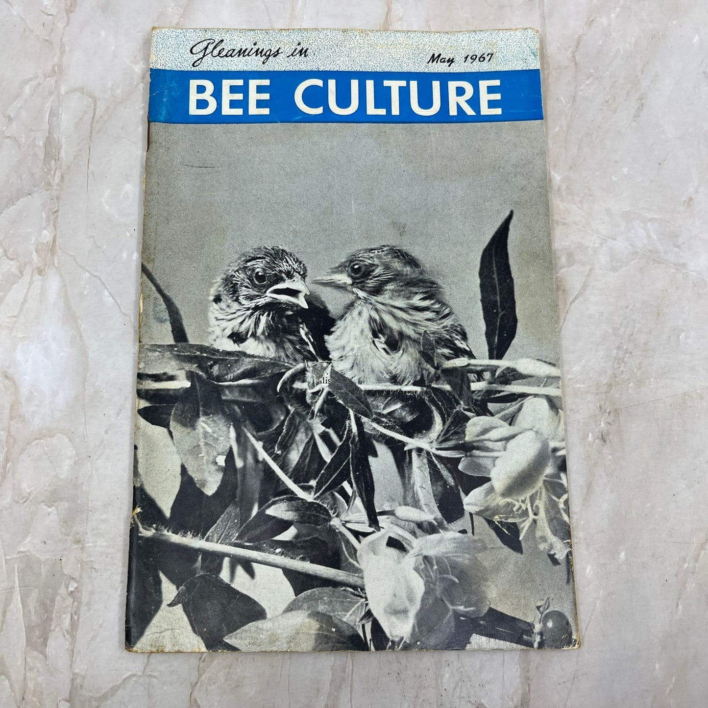 1967 May Gleanings in Bee Culture Magazine Bees Beekeeping Honey TD7