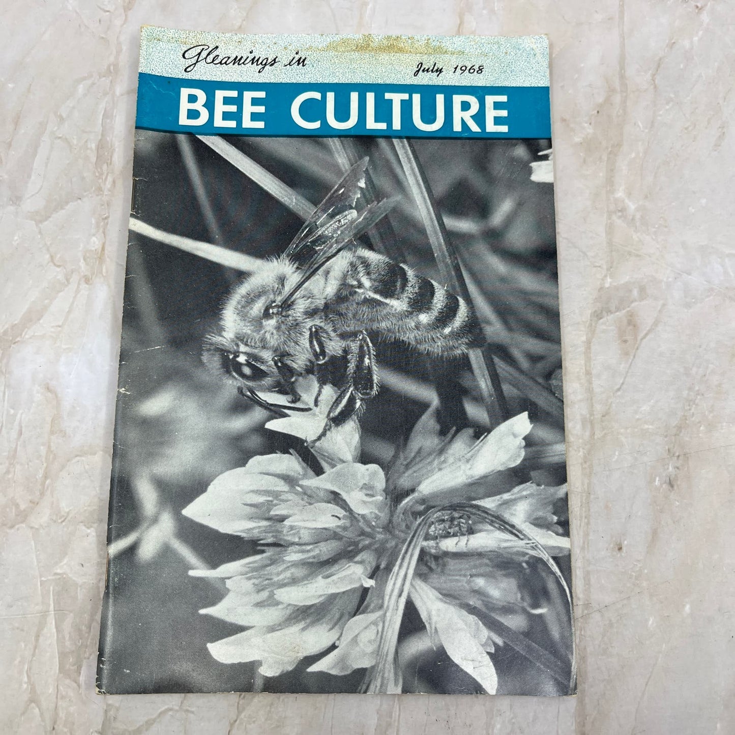 1968 July Gleanings in Bee Culture Magazine Bees Beekeeping Honey TD7