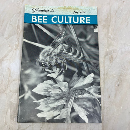 1968 July Gleanings in Bee Culture Magazine Bees Beekeeping Honey TD7