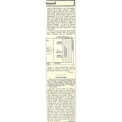 Chicken Egg Laying Contest Results Bergen County NJ March 19 1924 Ad AG3-4