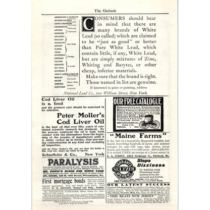 National Cloak and Suit Co Summer Styles New York 1903 Magazine Ad AF7-E4