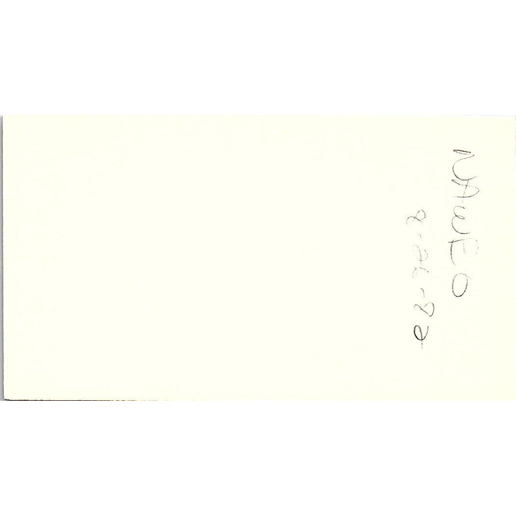 A-1 Domestic Service Live-ins with Child Care Houston Texas Business Card SB4-B2