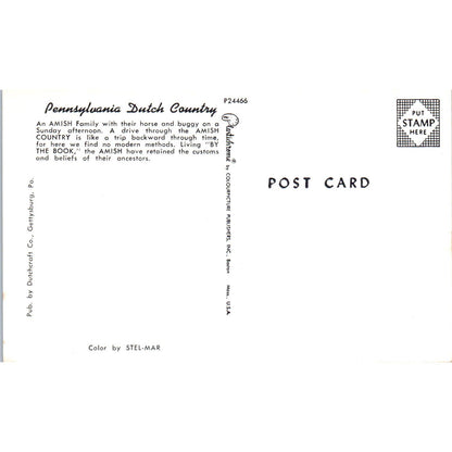 Amish Family Buggy on Sunday Drive Pennsylvania Dutch Country Postcard PD7