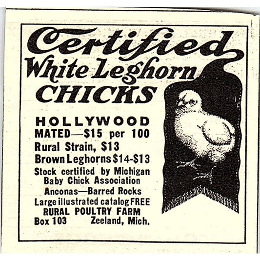 Rural Poultry Farm White Leghorn Chicks Zeeland Michigan 1924 Ad AG3-S17