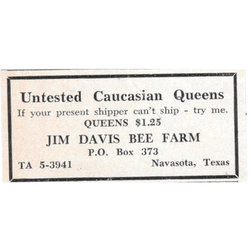 Untested Caucasian Queens Jim Davis Be Farm Navasota TX 1961 Magazine Ad AB6-S13