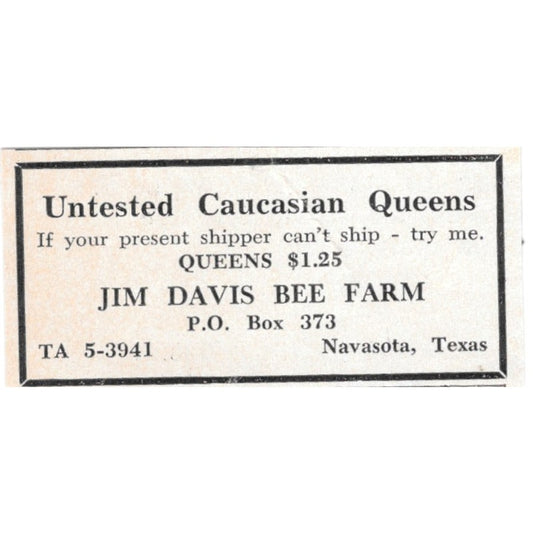 Untested Caucasian Queens Jim Davis Be Farm Navasota TX 1961 Magazine Ad AK6-S13