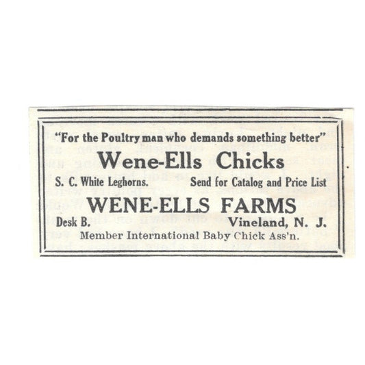 Wene-Ells Farms White Leghorns Vineland NJ 1924 Ad AG3-S4