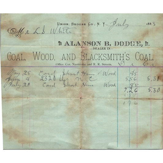 1883 Billhead Union Broome Co. NY Alanson B Dodge Nanticoke & R.R. Street AK7-3