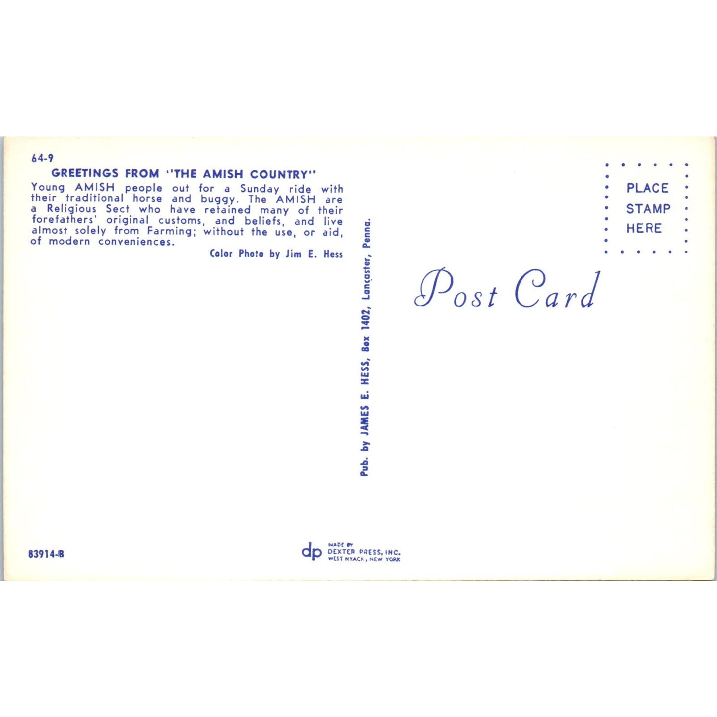 Amish People Out for a Sunday Buggy Ride Pennsylvania Dutch Country Postcard PD8